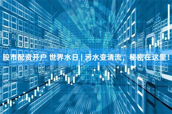 股市配资开户 世界水日 | 污水变清流,秘密在这里!