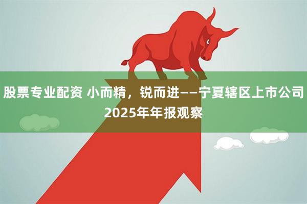 股票专业配资 小而精，锐而进——宁夏辖区上市公司2025年年报观察