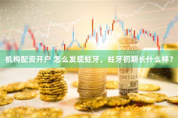 机构配资开户 怎么发现蛀牙,蛀牙初期长什么样?